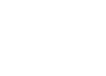 Lexus RC F GT3 Logo